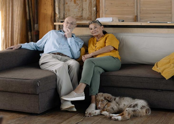 House sitting simplified