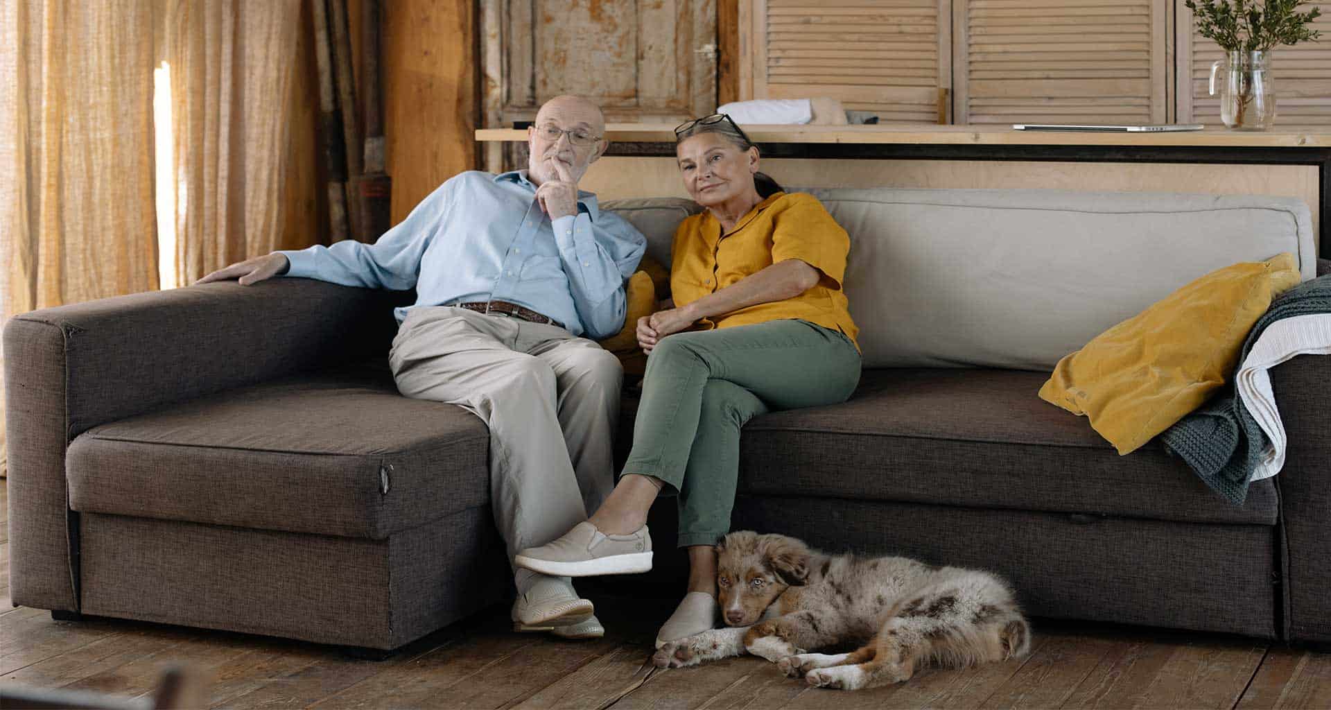 House sitting simplified