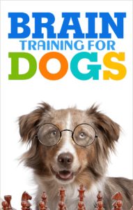 dog brain training