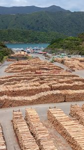 Picton New Zealand 1