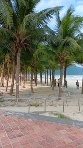my khe beach da nang 2