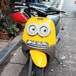 zebra crossing in Vietnam