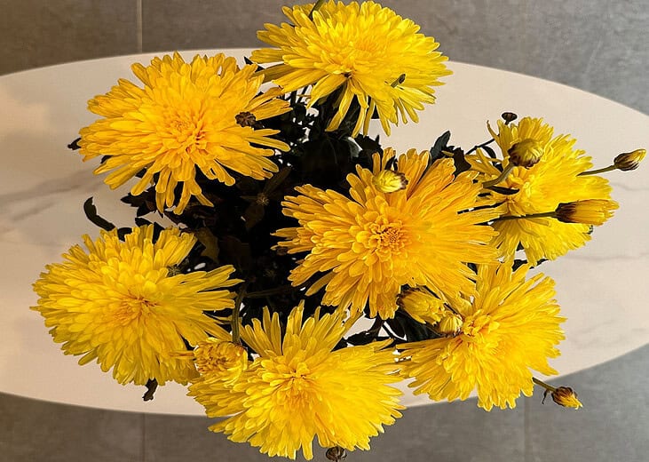 mylifestyle-flowers-1