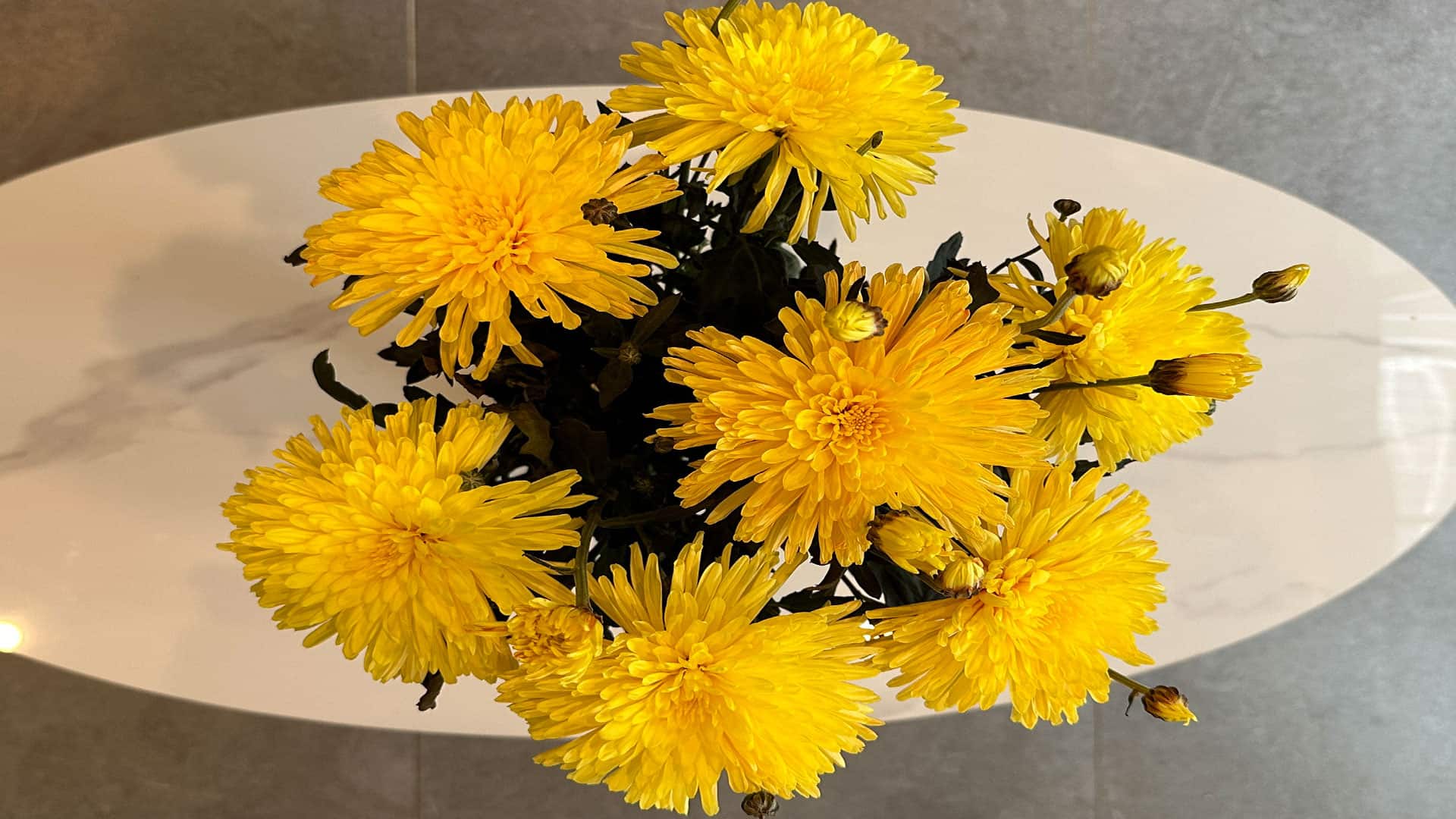 mylifestyle-flowers-1