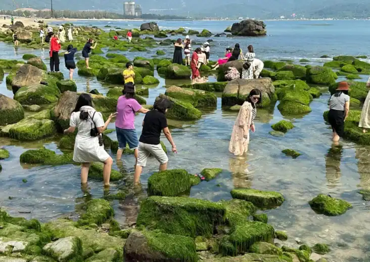 Nam O Reef - Da Nang