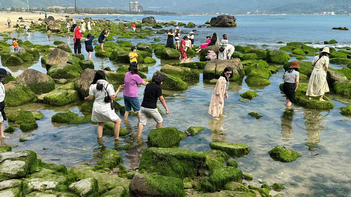 Nam O Reef - Da Nang