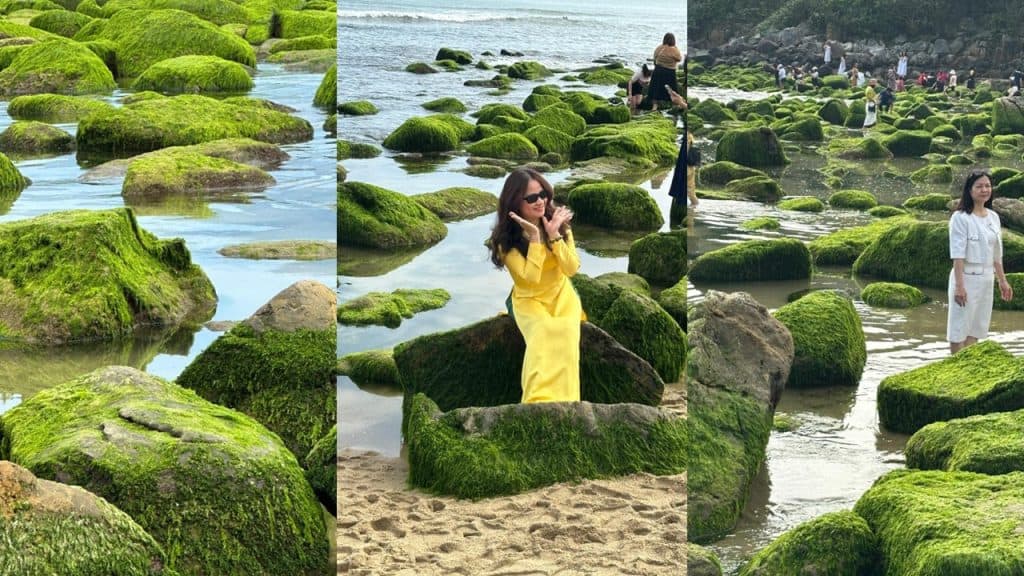 nam o reef da nang 3