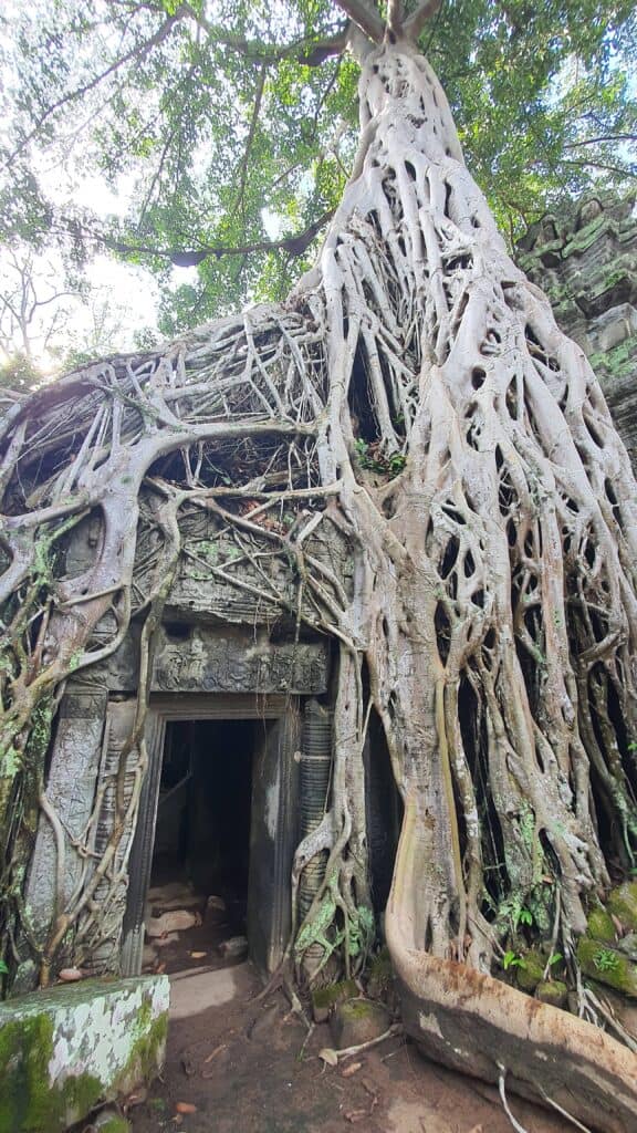Ta Prohm