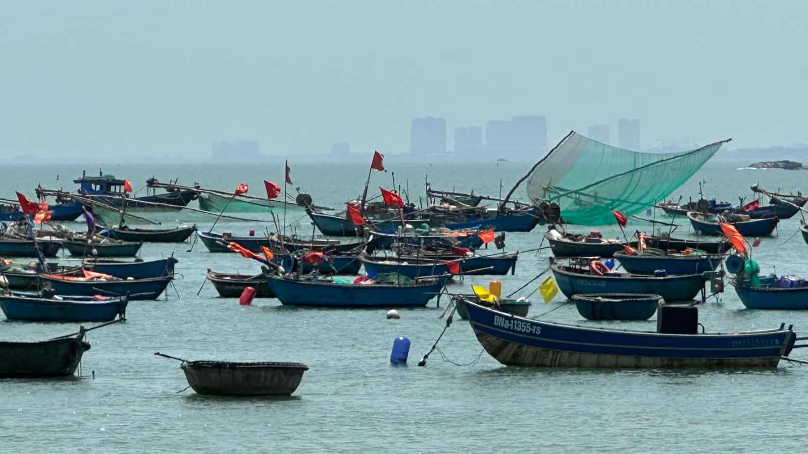 Son Tra Peninsula Da Nang 2