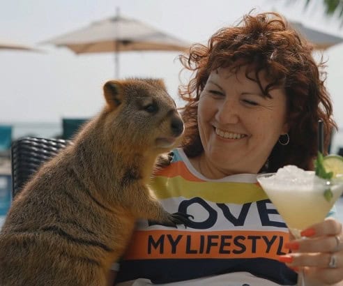 rottnest island quokka
