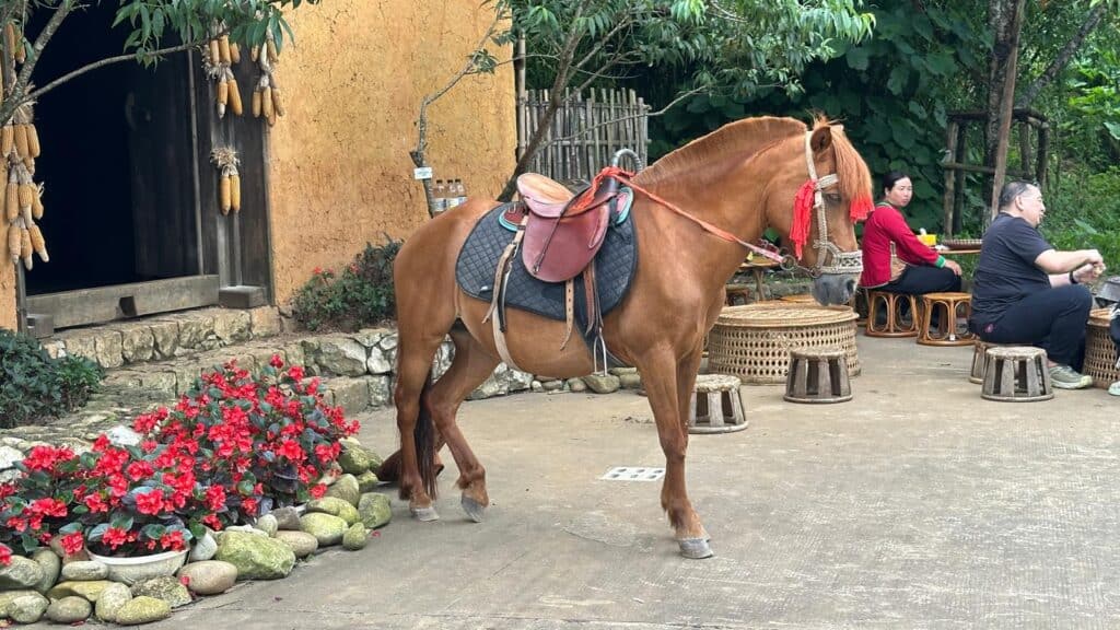 sapa vietnam 7